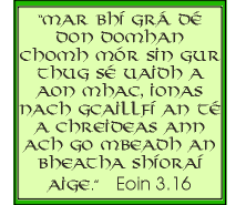 John 3:16 in Irish